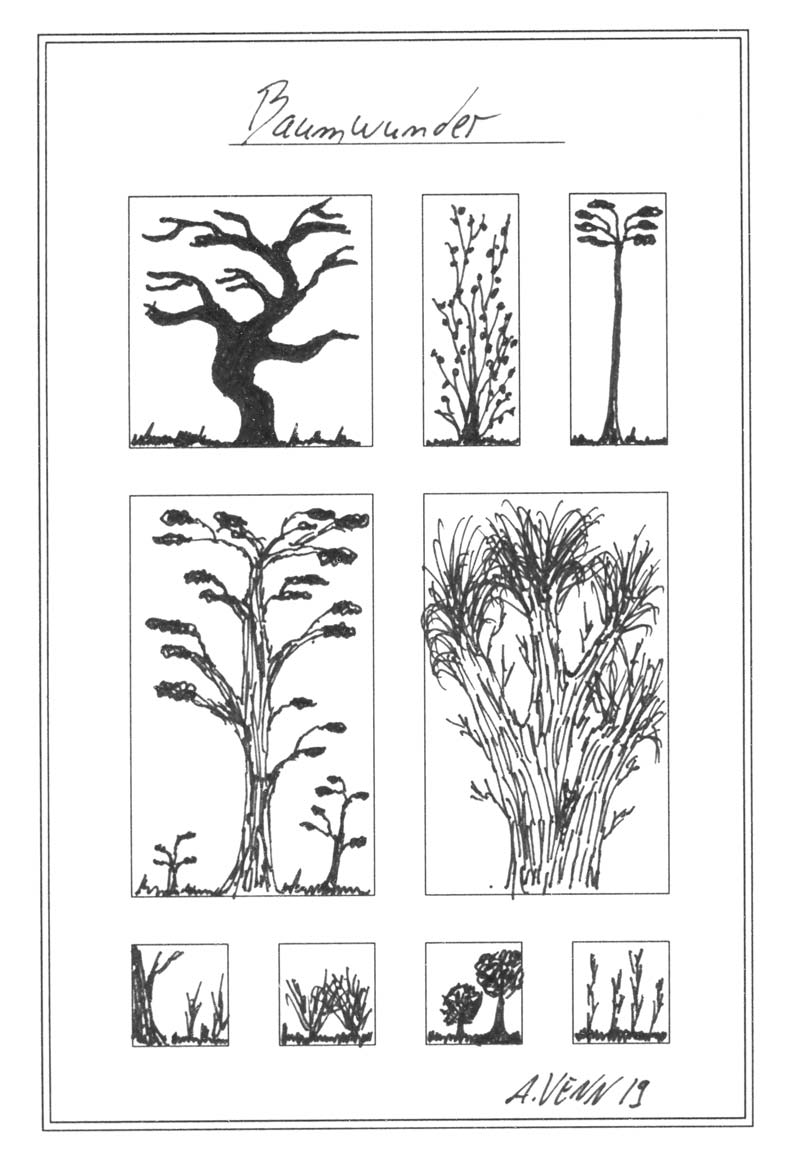 Baume Und Straucher Einfach Zeichnen Und Skizzieren Beispiele